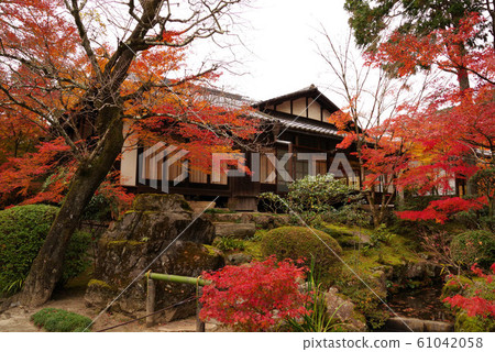 Tensenan的秋葉 61042058