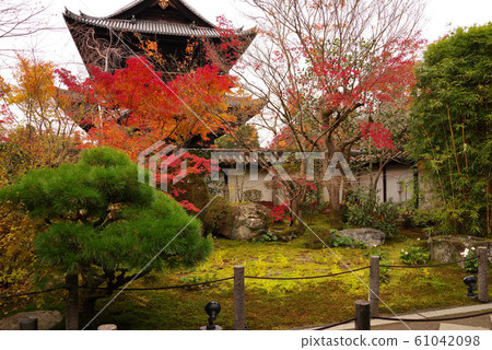 Tensenan的秋葉 61042098