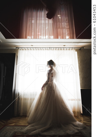 Beauty portrait of bride wearing fashion wedding dress with feathers with luxury delight make-up and hairstyle 61043453