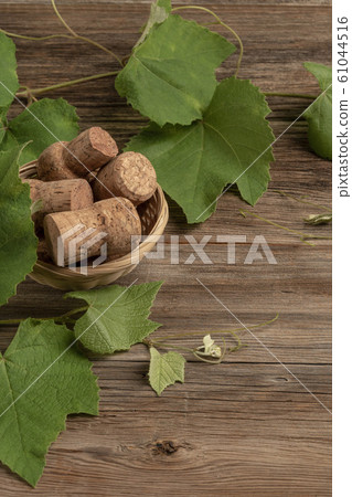 background with grape leaves and wine bottle corks background with grape leaves and wine bottle corks 61044516