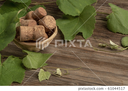 background with grape leaves and wine bottle corks 61044517