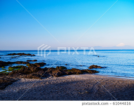 Shonan (Winter) 61044816