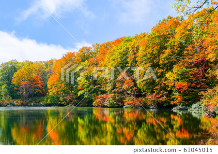 Autumn leaves at Myoko / Sennin Pond 61045015