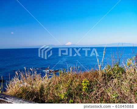 Shonan (Winter) 61045088