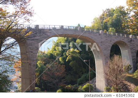 七澤森林公園森之掛橋秋葉 七澤森林公園森之掛橋秋葉 61045302