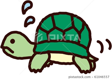 Turtle sweating - Stock Illustration [61046557] - PIXTA