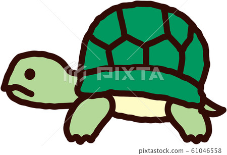 turtle - Stock Illustration [61046558] - PIXTA