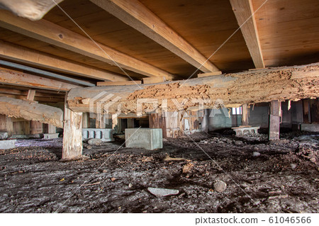 Under the floor of an old house 61046566