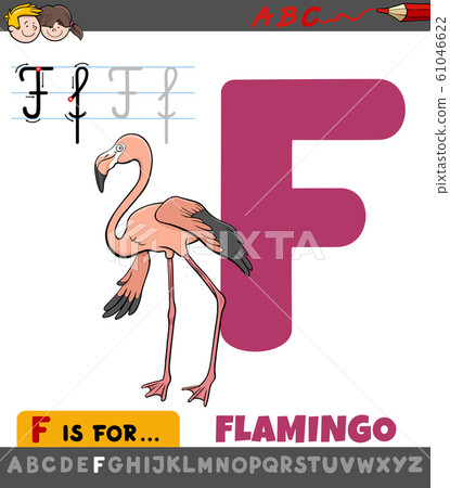 letter F worksheet with cartoon flamingo bird 61046622