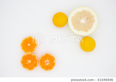 Citrus oranges 61046696