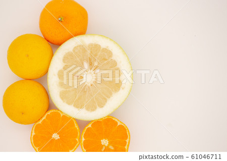 Citrus oranges 61046711