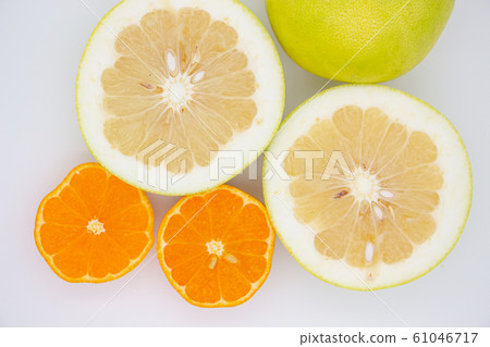 Citrus oranges 61046717