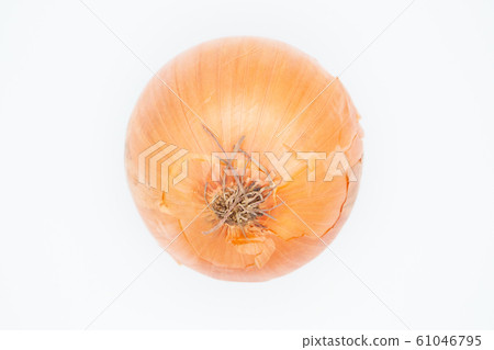 Onion, onion, onion Onion, onion, onion 61046795