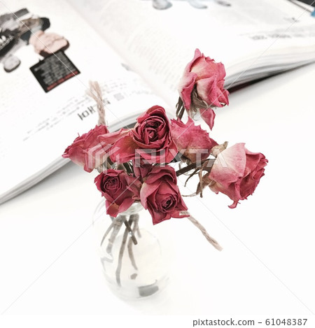 Drya Rose Drya Rose 61048387