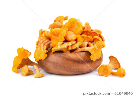 Yellow chanterelles mushrooms 61049040