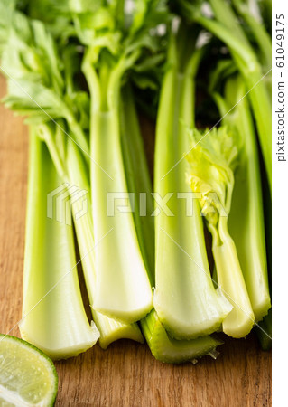 Celery. Leaves and stem of fresh organic green celery close up. Healthy eating, vegetarian food, diet, dieting concept. Celery. Leaves and stem of fresh organic green celery close up. Healthy eating, vegetarian food, diet, dieting concept. 61049175