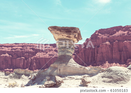 Northern Argentina Northern Argentina 61050183