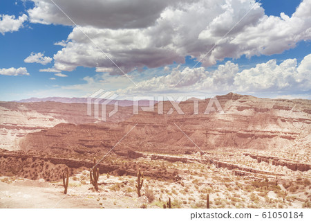 Northern Argentina Northern Argentina 61050184