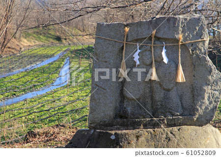 Azumino Wasabida的祖先 61052809