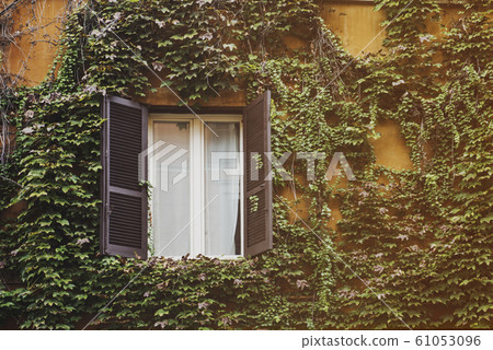 Window with vegetation in Rome 61053096