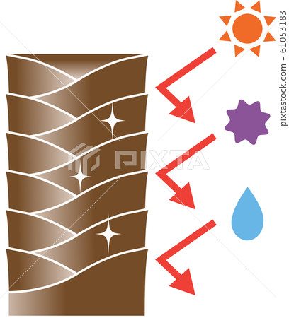 健康的頭髮表皮 健康的頭髮表皮 61053183