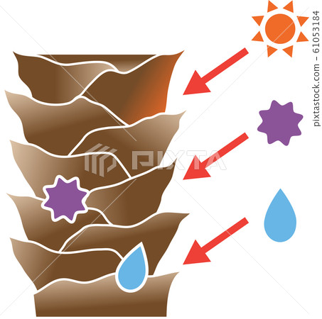 Damaged hair cuticle - Stock Illustration [61053184] - PIXTA