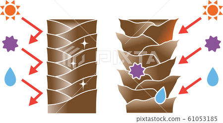 健康的頭髮受損的頭髮角質層 61053185