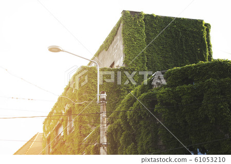 old house covered with vegetation in Bucharest 61053210