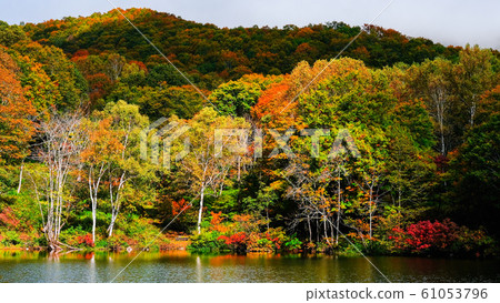 Myoko / Sennin Pond的秋葉 61053796