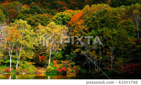 Myoko / Sennin Pond的秋葉 61053798