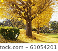 Autumn image Beautiful ginkgo leaves that dance in the wind 61054201