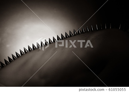 Fashion Big Spikes lie on Back of Acne Skin Model Fashion Big Spikes lie on Back of Acne Skin Model 61055055