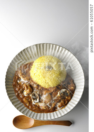 Beef Stroganoff Hayashi Rice 61055057