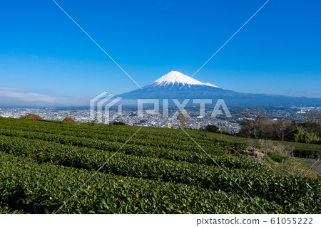 Fuji, Fujinomiya City and Fuji City overlooking the tea plantations <December 2019 Fujinomiya City, Shizuoka Prefecture> 61055222