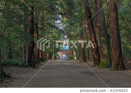 鹿島神社接近風景 61056833