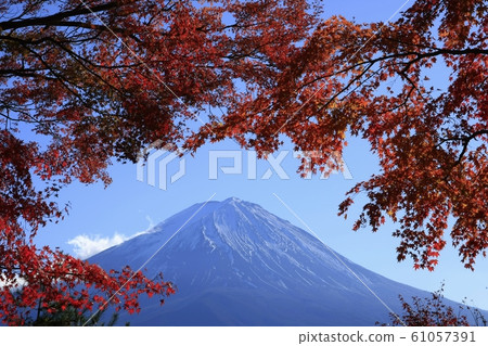 Best position for shooting autumn leaves Best position for shooting autumn leaves 61057391