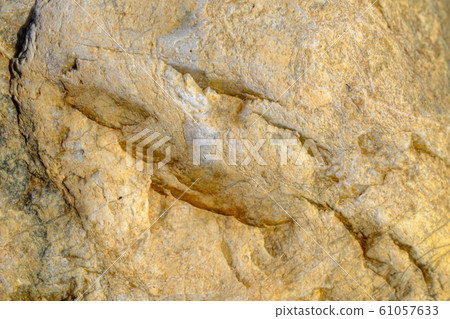 Kawahara stone background material Kawahara stone background material 61057633