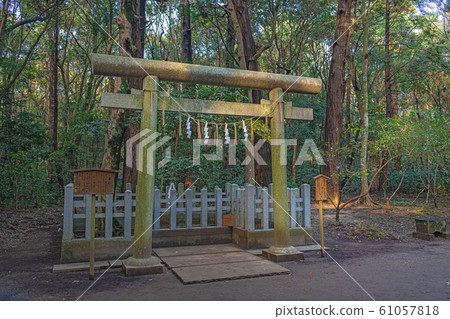 鹿島神宮神社在森林裡的基石 61057818