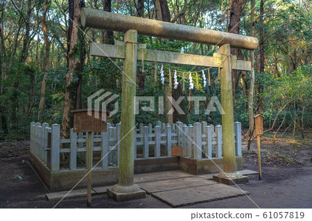鹿島神宮神社在森林裡的基石 61057819
