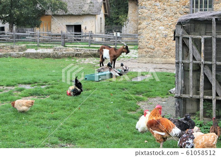 Versailles Palace Ranch Versailles Palace Ranch 61058512