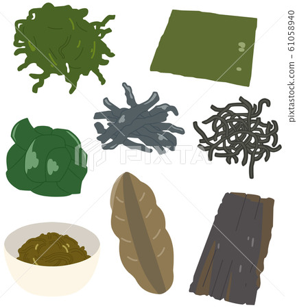 海藻*沒有乾線 61058940