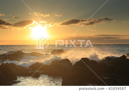 野島齋藤 野島齋藤 61059587