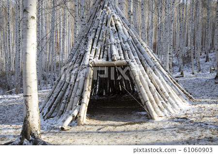 白樺林中的一間小屋 61060903