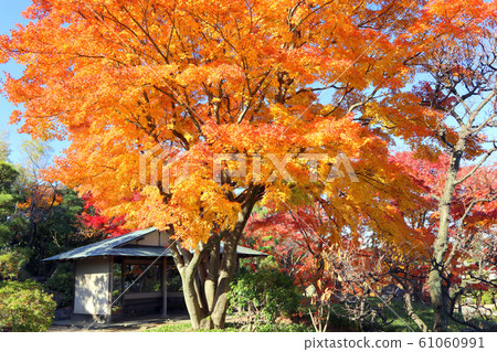 oshi玉縣越谷市花田園的瑜伽和秋葉越谷能樂劇院 61060991
