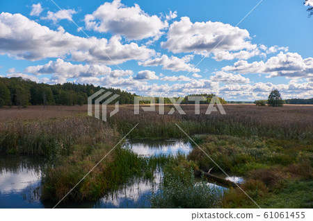 Narew River oxbow in fall Narew River oxbow in fall 61061455