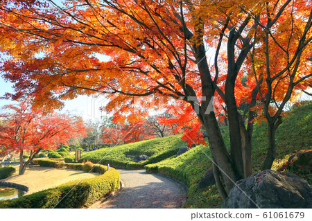 越谷能樂劇院 日本庭園 花田園的秋葉 12月 Sa玉越谷 照片素材 圖片 圖庫