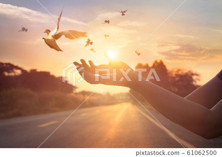 Woman praying and free bird enjoying nature on sunset background, hope concept, soft focus 61062500