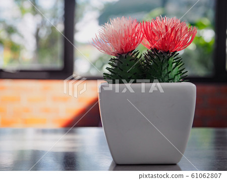 3 cactus plants constructed from plastic The stamens are many small strands. With red and orange Green trunk with thorns In a small white pot Placed on a grey table Take a photo of the side. 3 cactus plants constructed from plastic The stamens are many small strands. With red and orange Green trunk with thorns In a small white pot Placed on a grey table Take a photo of the side. 61062807