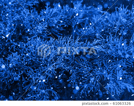 Classic blue fir tree winter christmas background Classic blue fir tree winter christmas background 61063326