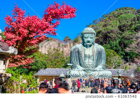Kanagawa Great Buddha and autumn leaves 61063548
